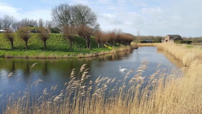 Willemstad - Lopen langs linies