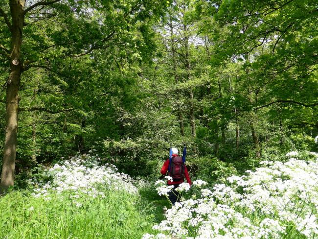 Bergwandeling Heveadorp