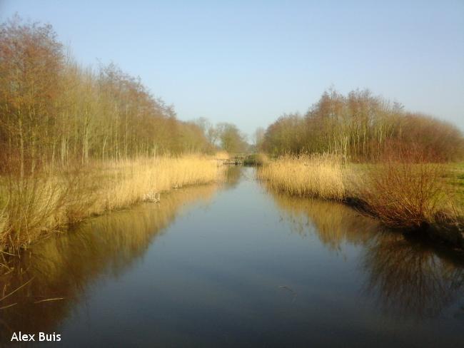 Amstelveens Groen: Middelpoldertocht