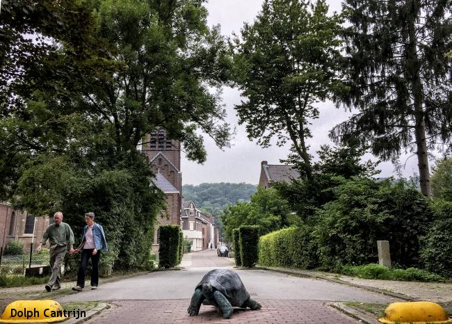 Kerkrade - Schinveld