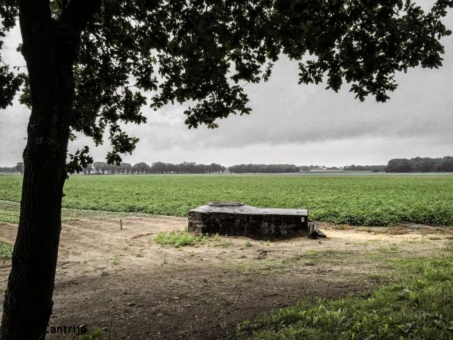 Roermond - Tegelen