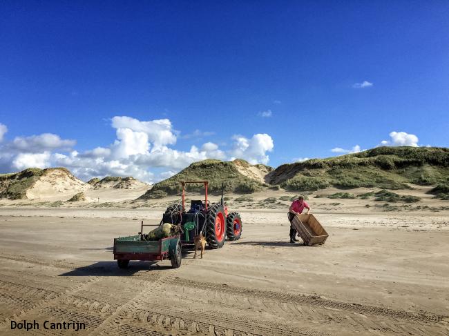 Groet - Wijk aan Zee