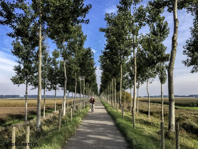 grensdijk grensdijk