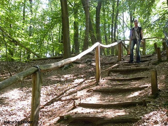 Romeinse Veldtocht Berg en Dal - Nijmegen