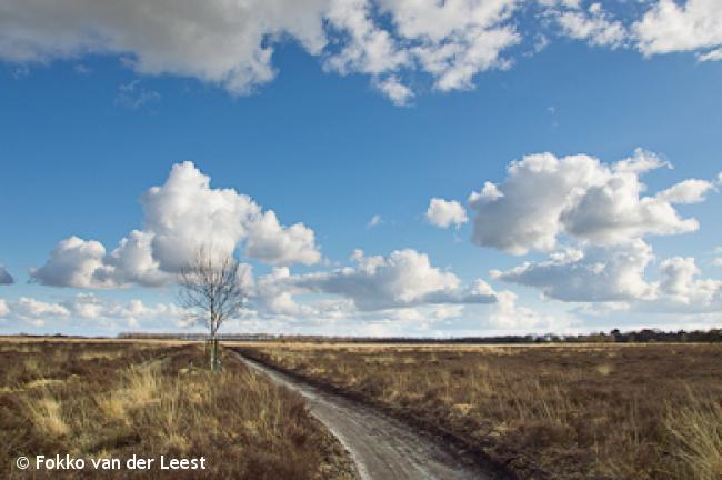 Wandelroute Groot Norg