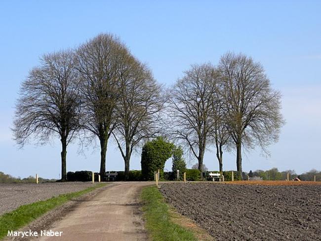  Joodse begraafplaats op de Mageler Esch