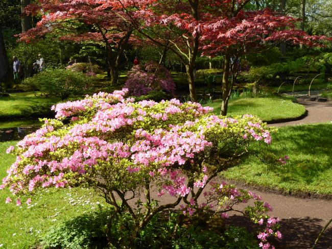 Clingendael, Japanse tuin