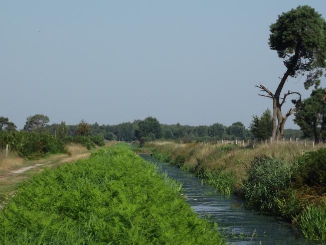  Eeuwselsche Loop
