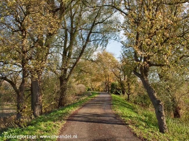 Oude Zuiderlingedijk