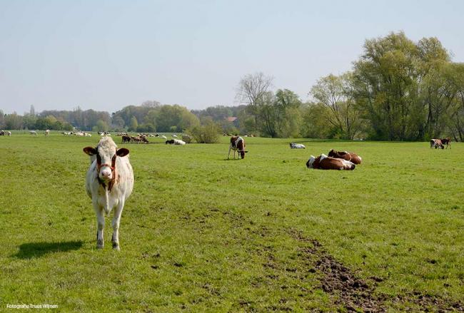 Wandeling Wilp - Gietelo