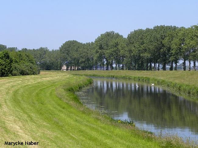 Grasdijk langs Soestwetering