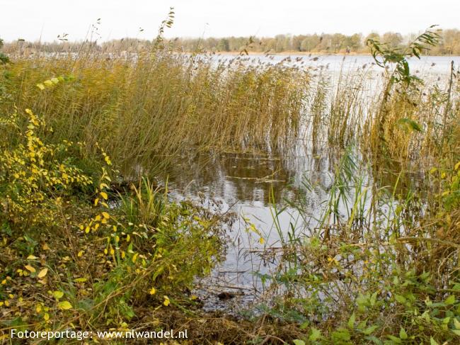 Maarsseveense Plassen