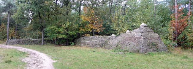 Op pad in Boswachterij Dorst