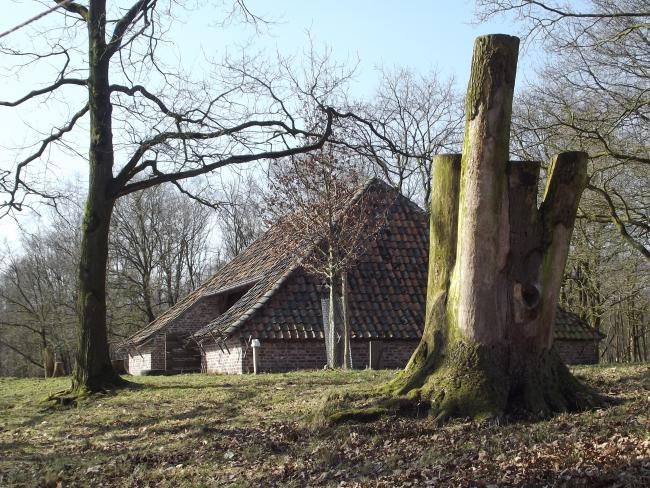 Schaapskooi