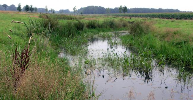 Aan de bovenloop van de Kleine Beerze