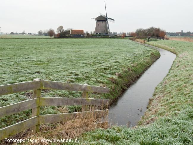 Groene Wissel Alkmaar 1