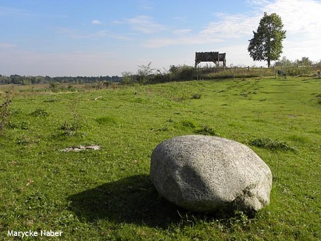 Uitkijktoren en linde op voormalige vuilstort Banisveld