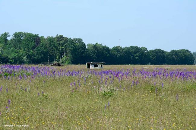 Vliegveld Twente