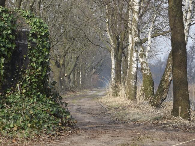 Kazemat langs het kanaal van Deurne