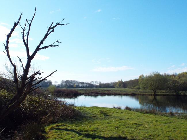 Natuurgebied het Kwakvors 