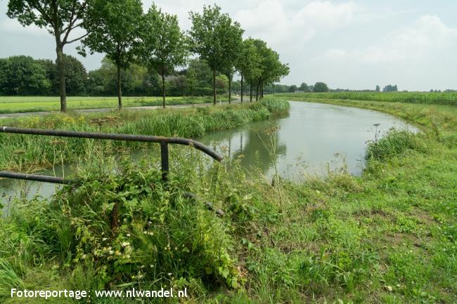 Groene Wissel Elst GLD