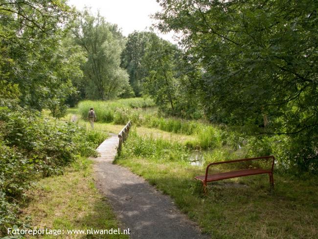 Groene Wissel Utrecht-CS
