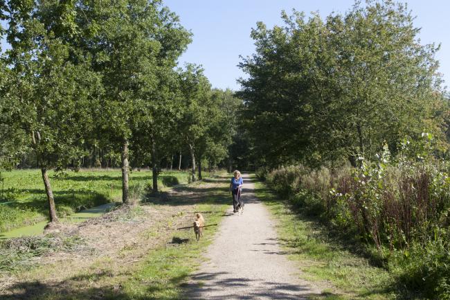 Delftse Hout en Dobbeplas route