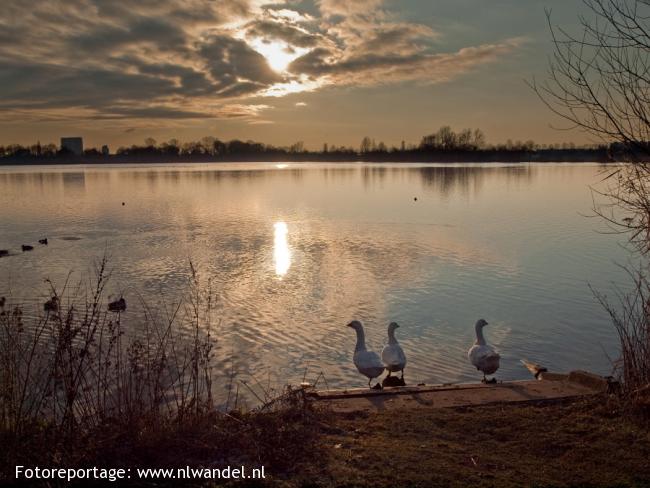 Groene Wissel Utrecht Overvecht