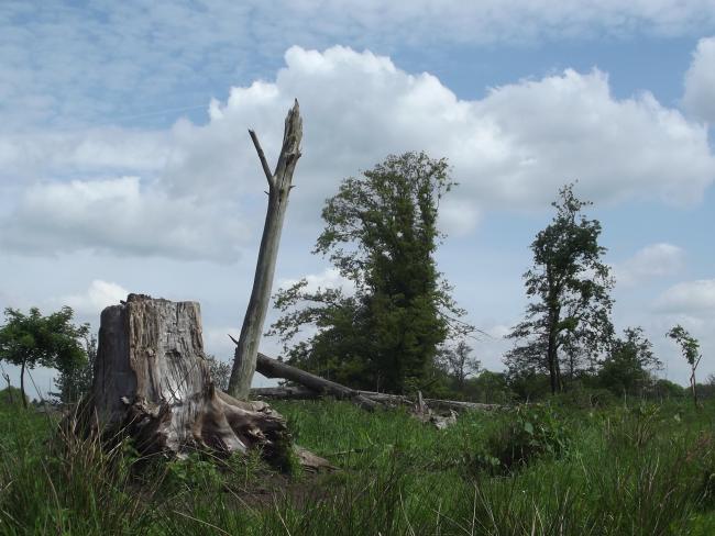 Natuurgebied Loobeekdal