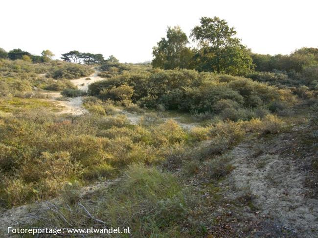 Groene Wissel Den Haag Centraal 1