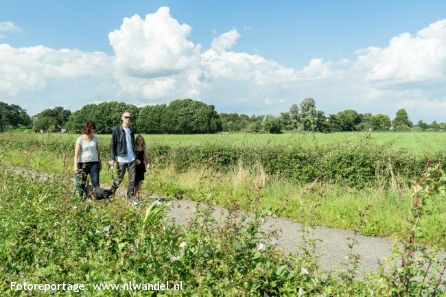 Landgoed Haarzuilens, Haarpad