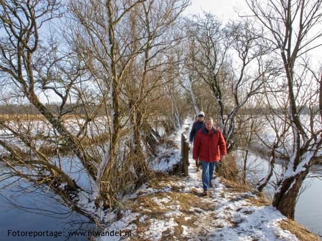 De Horsten in de winter