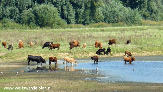 Trage Tocht Grave-Keent