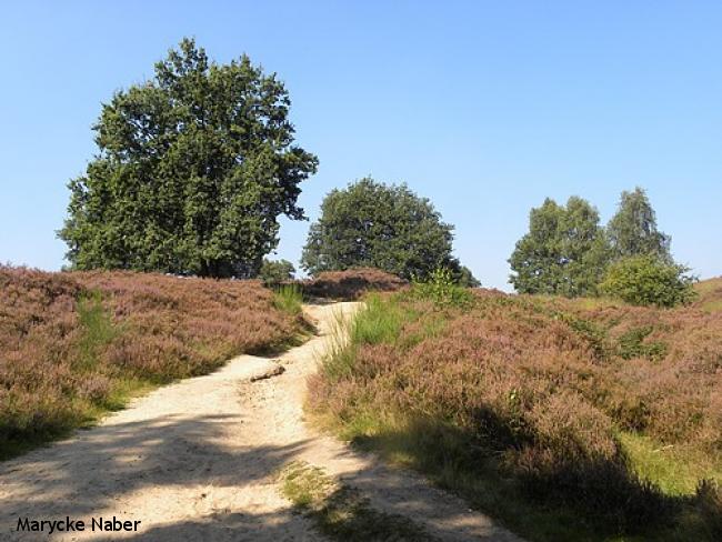 Bijzondere bergwandeling Mook Molenhoek