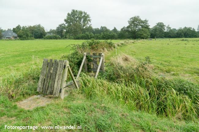 Groene Wissel Doezum