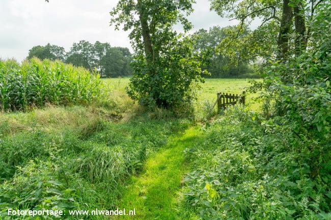 Groene Wissel Doezum