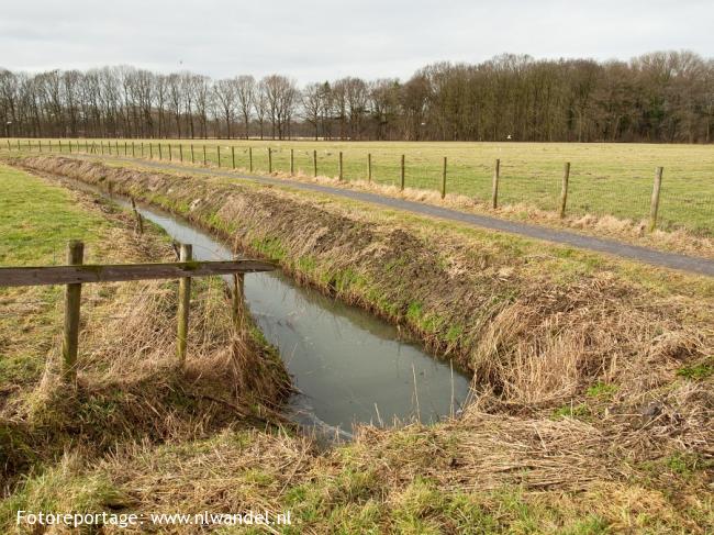 Polder Buitenweg