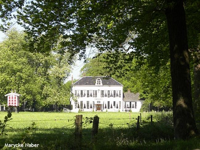 Landgoedwandeling Heino 2