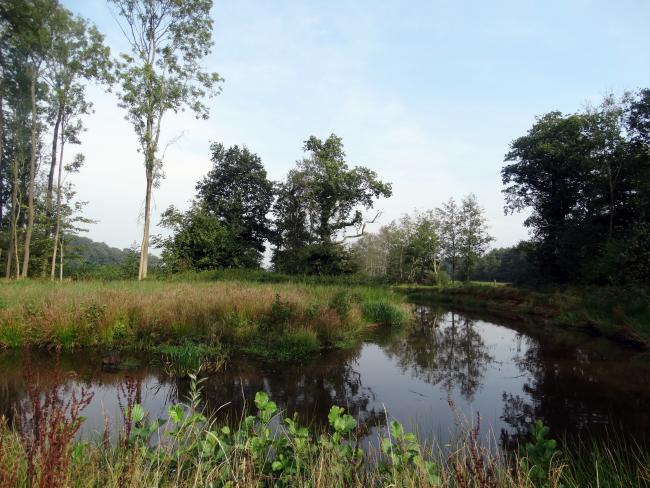 Westerwolde kleine lus 2b