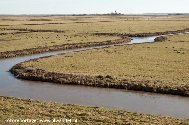 Polder IJdoorn