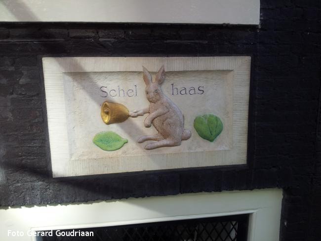 Schelhaas