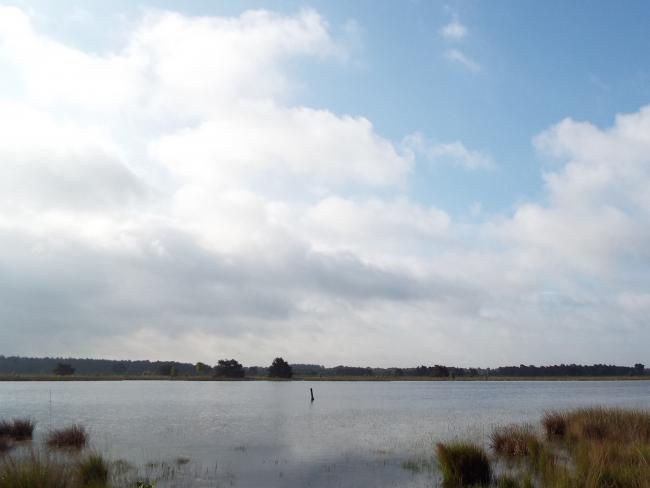 Landschotsche Heide-tocht