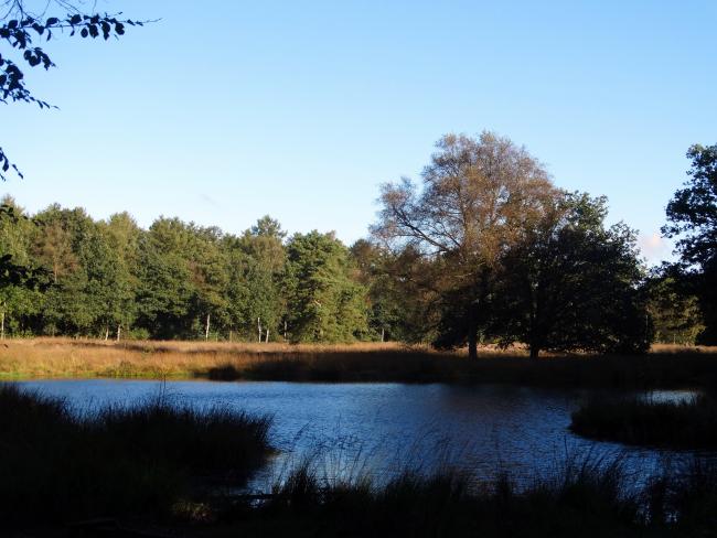 Het ven bij het Theater van de Natuur