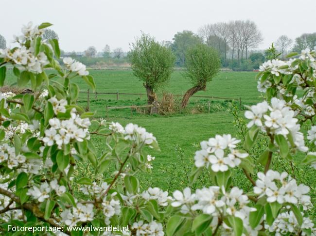 Vanaf de Appeldijk 2