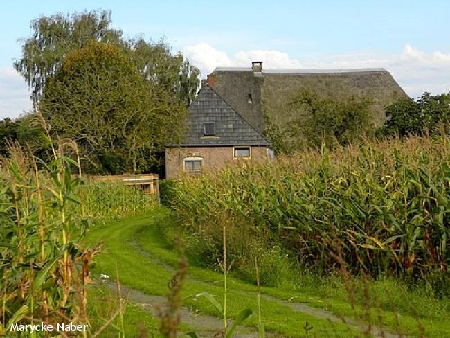 Geert Grootepad Deventer - Diepenveen