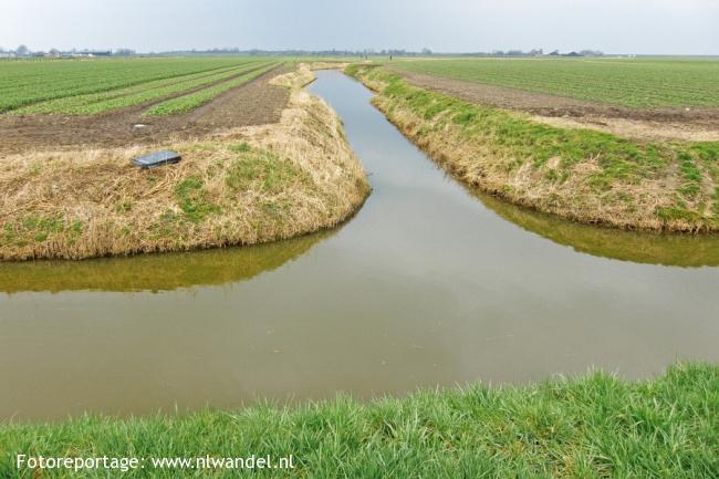 Polder Het Grootslag