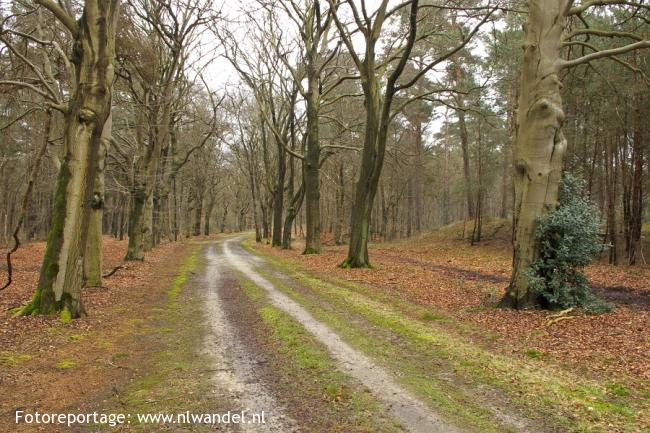 Groene Wissel Bilthoven 1