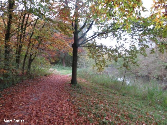 Gemeentebossenroute