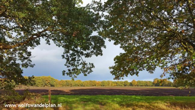 Trage Tocht Orvelte
