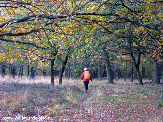 Trage Tocht Orvelte